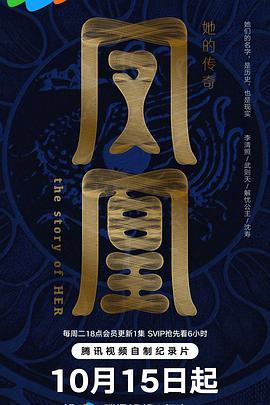 凤凰:她的传奇海报