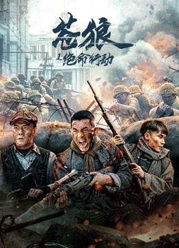 苍狼之绝命行动海报